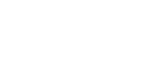 salomon_500x200