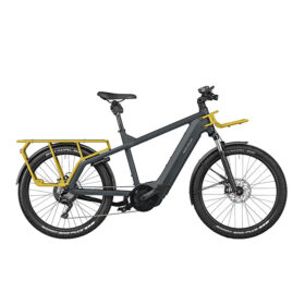 Multicharger Cargo Riese & Müller 2022